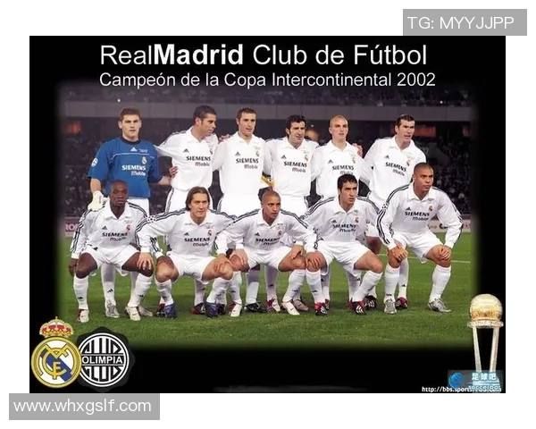 足球明星银河战舰手办收藏指南与推荐让你领略足球魅力与艺术之美